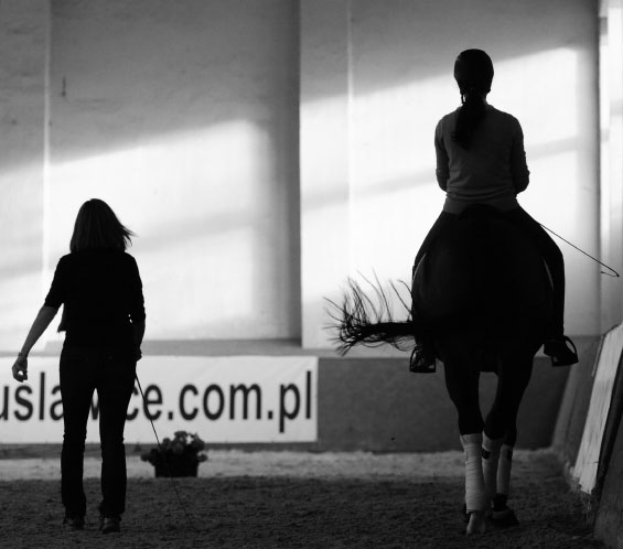 Queenswood Stables Riding Lessons