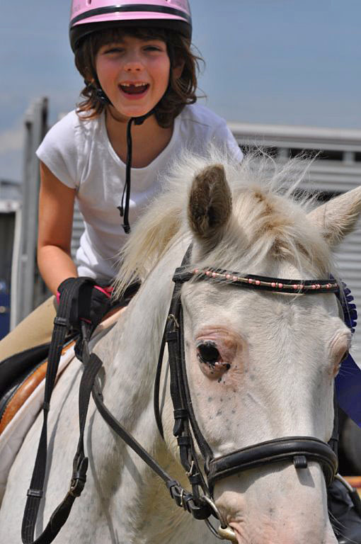 Queenswood Stables Horse Riding Camps