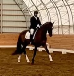 Naldo Dressage