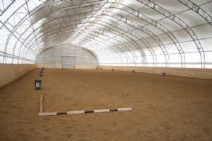 Our New Arena!